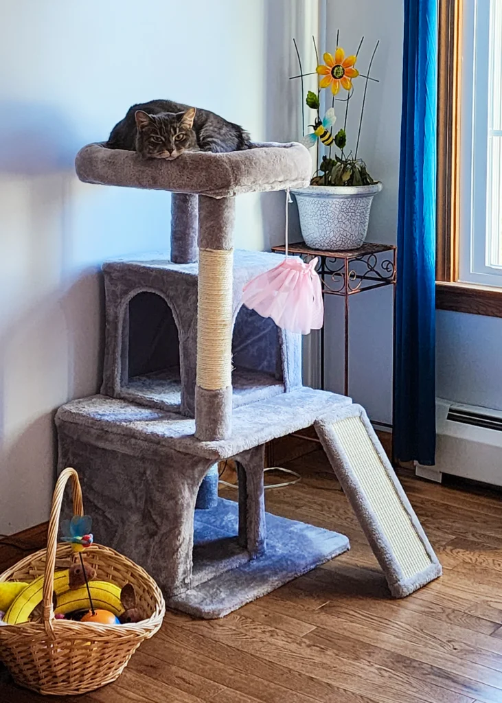 Cat room ideas - cat tree